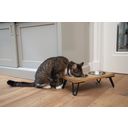 Designed by Lotte Holz Katzen Dinnerset Linga - 1 Stk