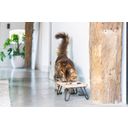 Designed by Lotte Holz Katzen Dinnerset Linga - 1 Stk