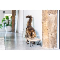 Designed by Lotte Holz Katzen Dinnerset Linga - 1 Stk