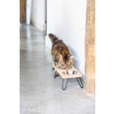 Designed by Lotte Holz Katzen Dinnerset Linga - 1 Stk