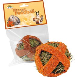 Quiko Fitness Foodball Carrots für Nager