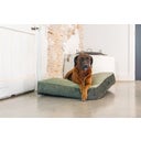 Designed by Lotte Cuscino per Cani Yndis - Verde