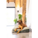 Designed by Lotte Cuscino per Cani Yndis - Verde