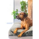 Designed by Lotte Cuscino per Cani Yndis - Verde