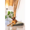 Designed by Lotte Cuscino per Cani Yndis - Verde