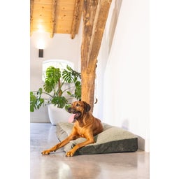 Designed by Lotte Cuscino per Cani Yndis - Verde