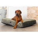 Designed by Lotte Cuscino per Cani Yndis - Verde