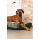 Designed by Lotte Cuscino per Cani Yndis - Verde