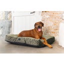 Designed by Lotte Cuscino per Cani Yndis - Verde