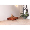 Designed by Lotte Cuscino per Cani Yndis - Terracotta