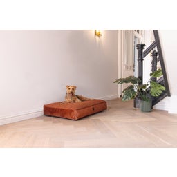 Designed by Lotte Cuscino per Cani Yndis - Terracotta