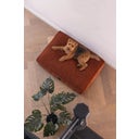 Designed by Lotte Cuscino per Cani Yndis - Terracotta