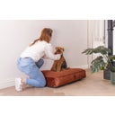 Designed by Lotte Cuscino per Cani Yndis - Terracotta