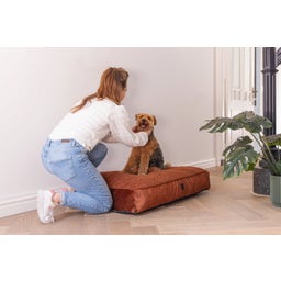 Designed by Lotte Cuscino per Cani Yndis - Terracotta