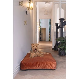 Designed by Lotte Cuscino per Cani Yndis - Terracotta