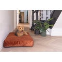 Designed by Lotte Cuscino per Cani Yndis - Terracotta