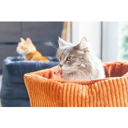 Designed by Lotte Kattenmand - Ribbed - Terracotta