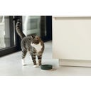 Designed by Lotte Kera Katten Voerbak - Joa - Groen