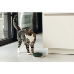 Designed by Lotte Kera Katten Voerbak - Joa - Groen