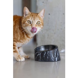 Designed by Lotte Mela Katzennapf Vita - Schwarz