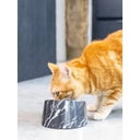 Designed by Lotte Mela Katzennapf Vita - Schwarz