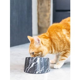 Designed by Lotte Mela Katzennapf Vita - Schwarz