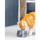 Designed by Lotte Mela Katzennapf Vita - Schwarz