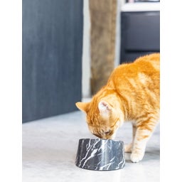 Designed by Lotte Mela Katzennapf Vita - Schwarz