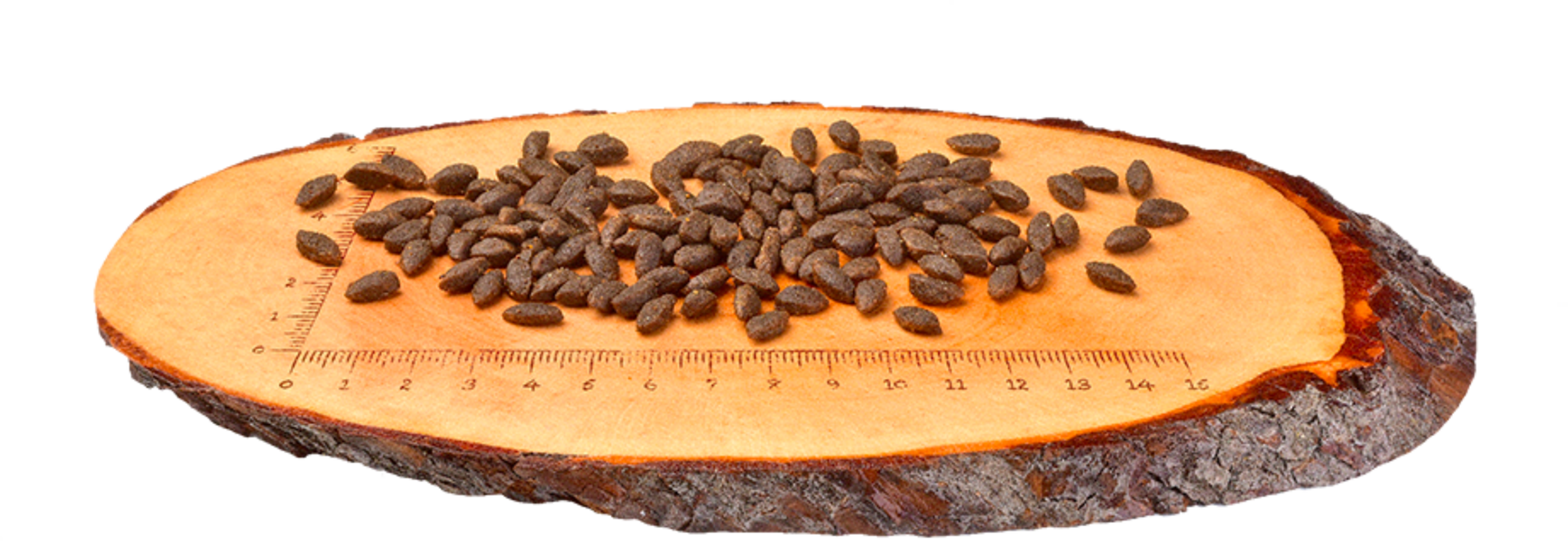 Carnilove Trockenfutter Salmon - Sensitive Adult - 400 g