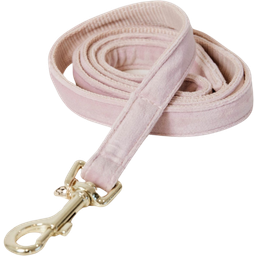 Kentucky Dogwear Dog Lead Velvet - Soft rose