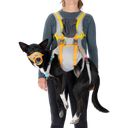 Ruffwear Komplet za evakuacijo psa BackTrak™ - S