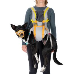 Ruffwear Komplet za evakuacijo psa BackTrak™ - S