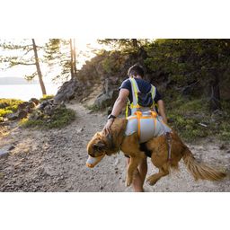 Ruffwear Komplet za evakuacijo psa BackTrak™ - S