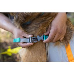 Ruffwear Komplet za evakuacijo psa BackTrak™ - S