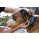 Ruffwear Komplet za evakuacijo psa BackTrak™ - S