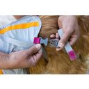 Ruffwear Komplet za evakuacijo psa BackTrak™ - S