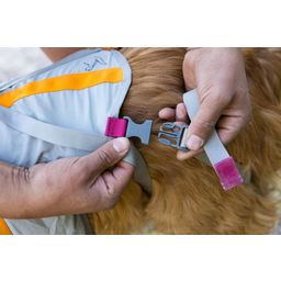 Ruffwear Komplet za evakuacijo psa BackTrak™ - S