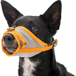 Ruffwear Komplet za evakuacijo psa BackTrak™ - S