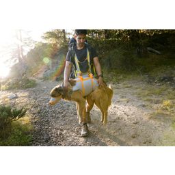 Ruffwear Kit di Evacuazione per Cani BackTrak™ - S