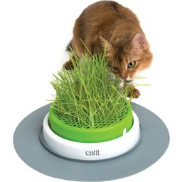 Catit Senses 2.0 Grass Planter - 1 pz.