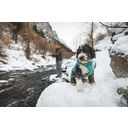 Ruffwear Quinzee™ Jacket, River Rock Green - XXS