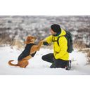 Ruffwear Quinzee™ Jacket, Jacket Obsidian Black - L