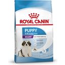 ROYAL CANIN Giant Puppy - 15 kg