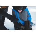 Ruffwear Vert™ Coverall - Blue Pool - XXS