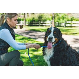 Ruffwear Just-a-Cinch™ povodec, Blue Pool 1,5 m - 1 k.