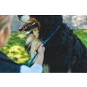 Ruffwear Just-a-Cinch™ povodec, Blue Pool 1,5 m - 1 k.