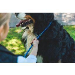 Ruffwear Just-a-Cinch™ Leine Blue Pool 1,5 m - 1 Stk