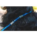 Ruffwear Just-a-Cinch™ povodec, Blue Pool 1,5 m - 1 k.