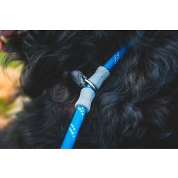 Ruffwear Just-a-Cinch™ Leine Blue Pool 1,5 m - 1 Stk