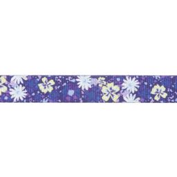 Ruffwear Front Range™ Leine Wildflower 1,5 m - 1 Stk